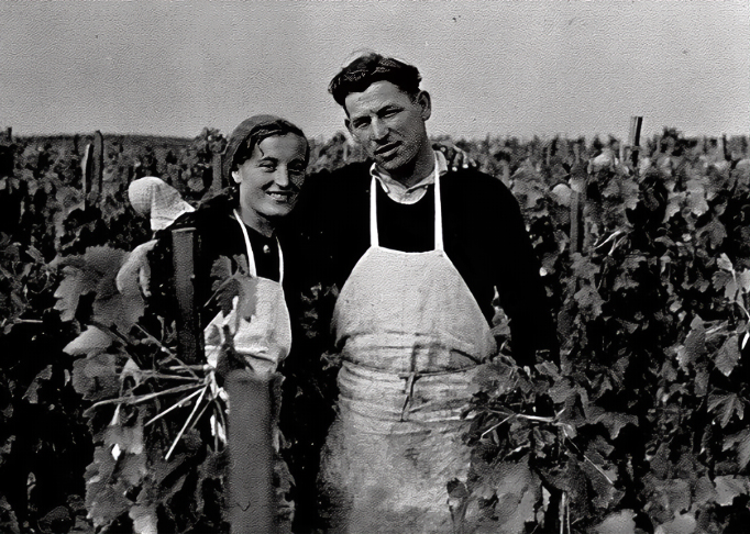 weingut rabl grossvater karl pell