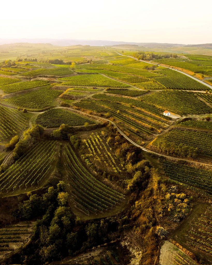 weingut rabl ried steinhaus ried jaeferberg