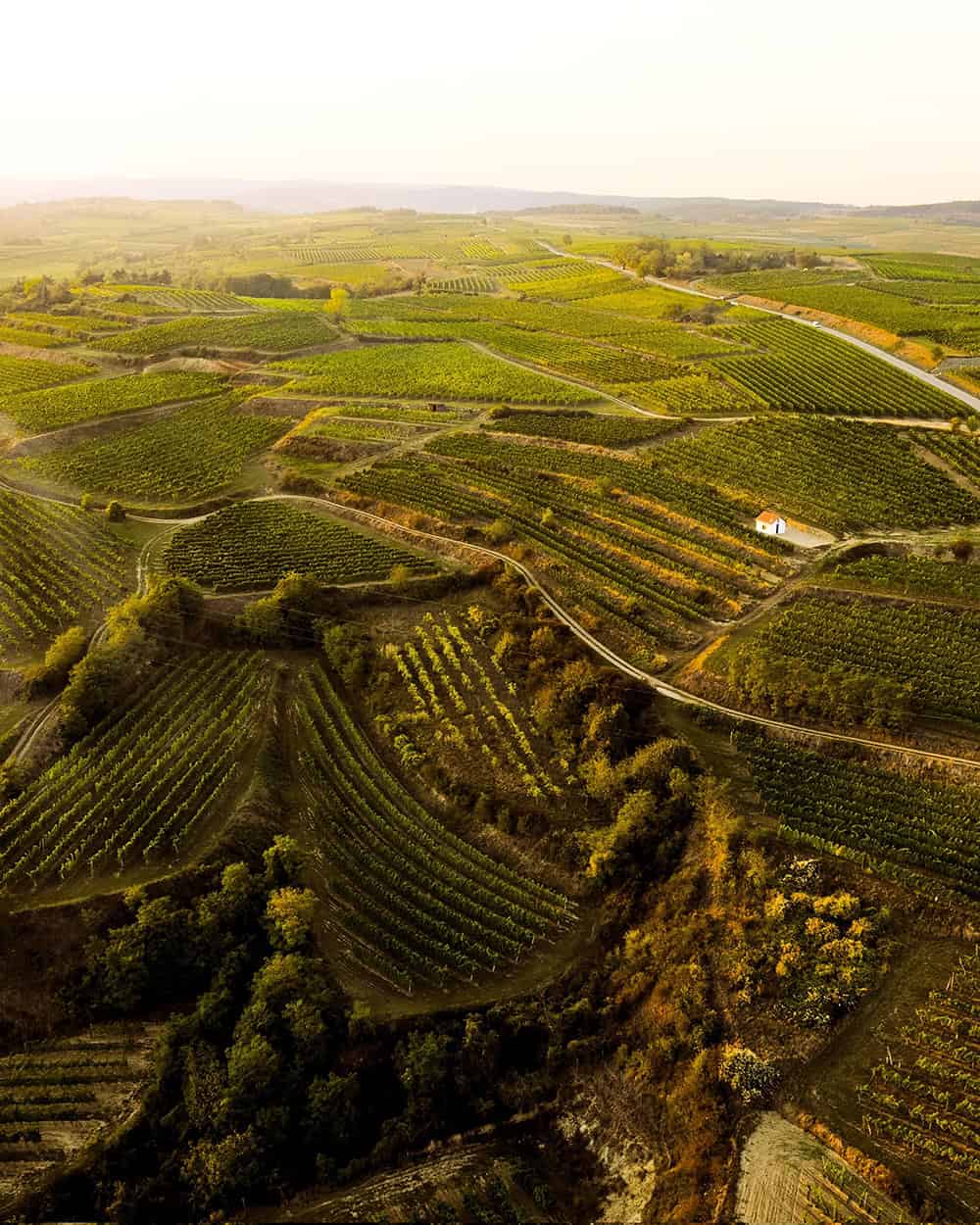 Weingut Rabl | Langenlois | Kamptal - ausgezeichnete Weine