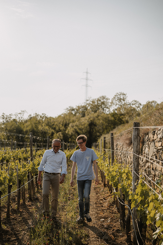 weingut rabl rudi weingarten spazieren