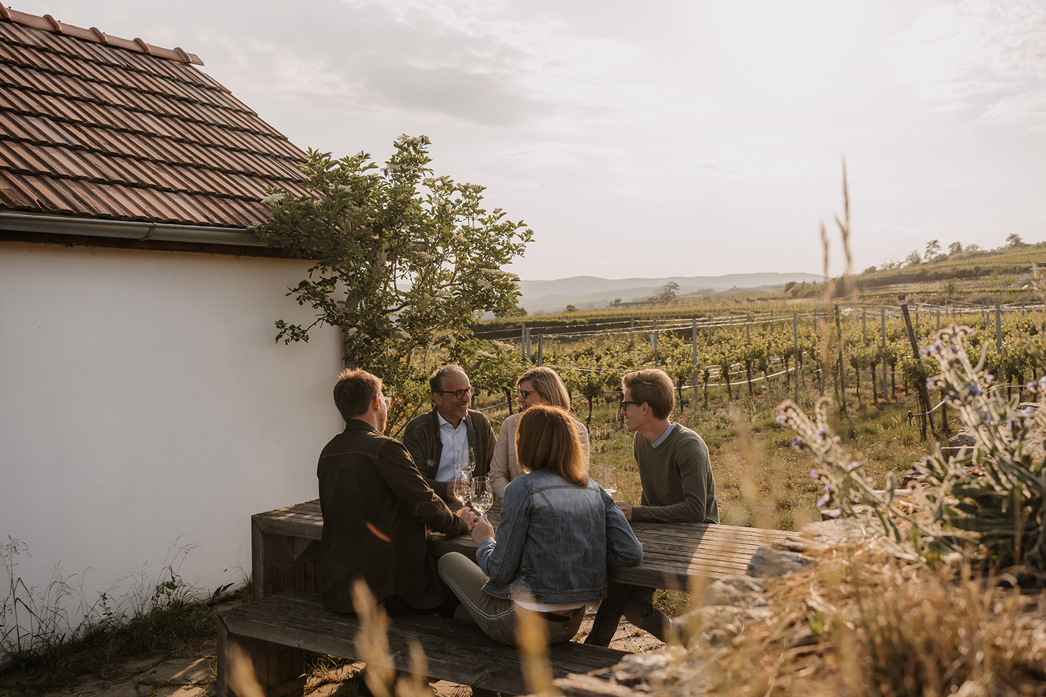 weingut rabl weinverkostung familie sonnenuntergang